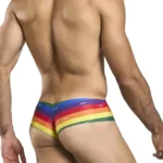 Alternative view of XSJ22 Cheek Briefs Color Pride Flag Size 2XL