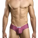 XSJ22 Cheek Briefs Color Wine Size 2XL