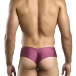 Alternative view of XSJ22 Cheek Briefs Color Wine Size 2XL