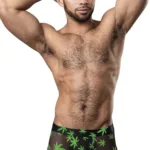 145-294 Hazy Dayz Pouch Short Color Pot Leaf Size S