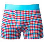 160-306 So Comfy Gingham Boxer Brief Color Gingham Print Size M - Image 3