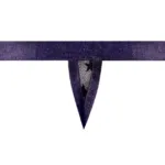 416-291 Love Star Thong with Ring Color Purple Size S/M - Image 6