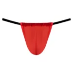 450-307 Mesh 2 G-String Color Red Size Only Size - Image 3