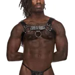 590-266 Leather Aries Harness Color Black Size Only Size