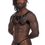 590-266 Leather Aries Harness Color Black Size Only Size - Image 3