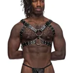 591-266 Leather Gemini Harness Color Black Size Only Size