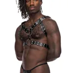 591-266 Leather Gemini Harness Color Black Size Only Size - Image 3