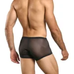 Alternative view of MBL78 Lace Trunks Color Black Mesh Size L/XL