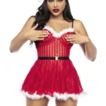 60010 Costume Mrs Claus Color Only Color Size XL