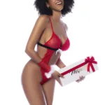 60039 Mrs Claus Color As shown Size L/XL