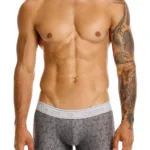 25050100103 Chisell Trunks Color 59-Gray Size S - Image 6
