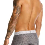 25050100103 Chisell Trunks Color 59-Gray Size S - Image 7