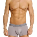 26020100120 Ruano Trunks Color 59-Gray Size L - Image 4