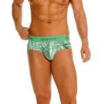 26020101102 Piramide Briefs Color 43-Green Size L