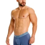 26040100217 Classic Boxer Briefs Color 46-Teal Size L - Image 3