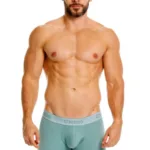 26040100221 Ceramic Boxer Briefs Color 43-Green Size 2XL