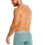 Alternative view of 26040100221 Ceramic Boxer Briefs Color 43-Green Size 2XL