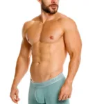 26040100221 Ceramic Boxer Briefs Color 43-Green Size M - Image 3