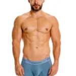 26040100227 Classic Boxer Briefs Color 46-Blue Size L - Image 8