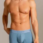 26040100227 Classic Boxer Briefs Color 46-Blue Size L - Image 5