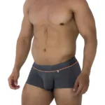 91196 Jacquard Trunks Color Gray Size S - Image 3