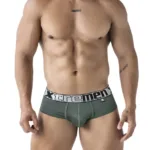 91221 Microfiber Briefs Color Green Size L