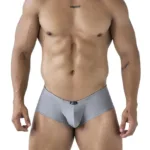 91234 Microfiber Trunks Color Gray Size L
