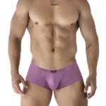 91240 Microfiber Trunks Color Blackberry Size L