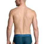Alternative view of 91250 Microfiber Mesh Briefs Color Petrol Size L