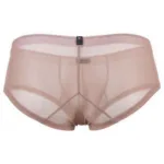91263 Microfiber Mesh Briefs Color Brown Size L - Image 5