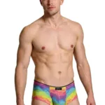 91283 Rainbow Printed Microfiber Briefs Color Cloud Size L