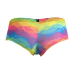 91283 Rainbow Printed Microfiber Briefs Color Cloud Size XL - Image 6