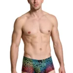 91283 Rainbow Printed Microfiber Briefs Color Labyrinth Size L