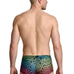 Alternative view of 91283 Rainbow Printed Microfiber Briefs Color Labyrinth Size L